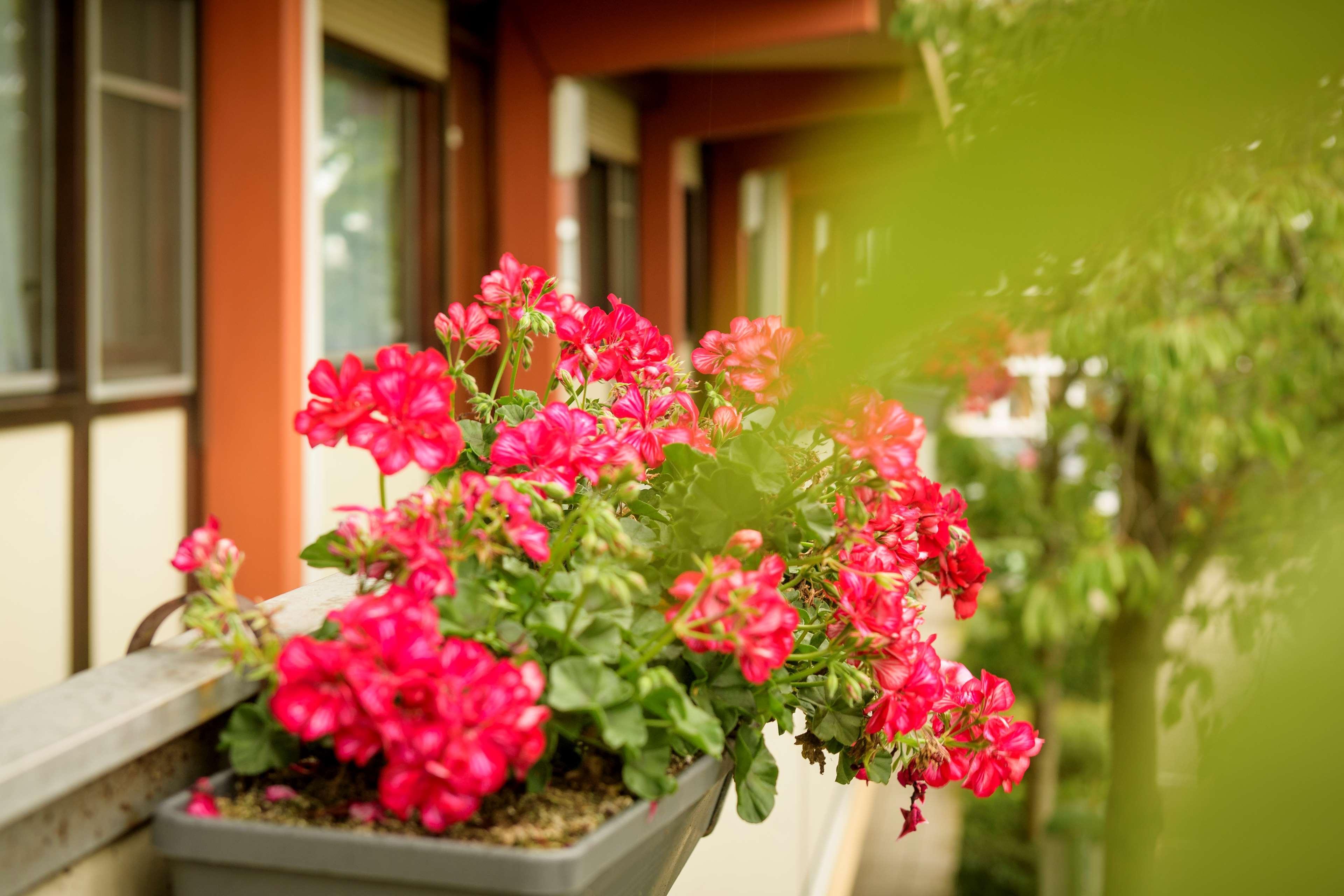 Campanile Hotel & Restaurant Gorinchem Luaran gambar